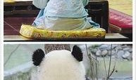 做一回娱乐圈吃瓜群众,揭秘明星幕后故事，做一回吃瓜群众！