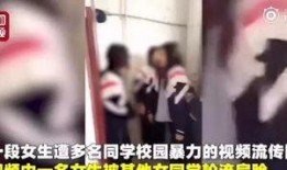 刘辣椒小李爆料视频在线观看,揭秘幕后真相，带你走进事件核心