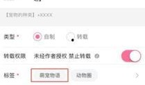 视频爆料投稿找谁投稿,如何找到合适的投稿渠道