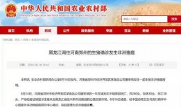 最新情况爆料,重大事件背后真相曝光