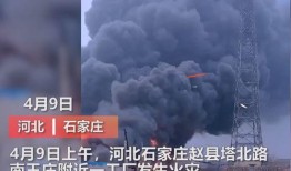 王庄最新爆料新闻视频,揭秘事件背后惊人真相！